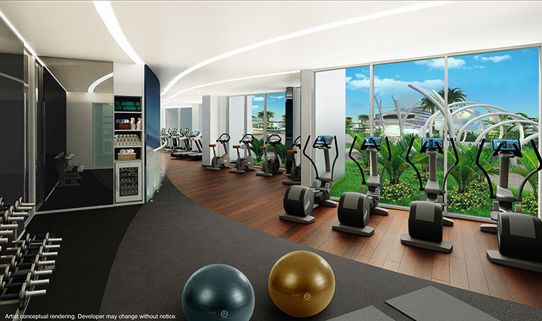 Gym Gym