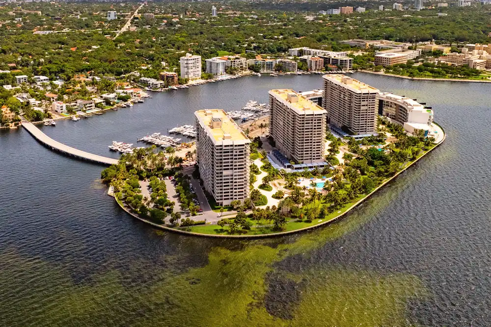 Grove Isle Condos for Sale and Rent in Coconut Grove, Miami