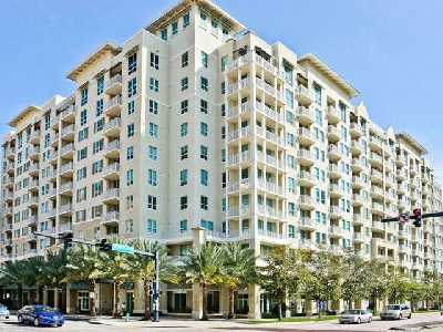City Palms City Palms