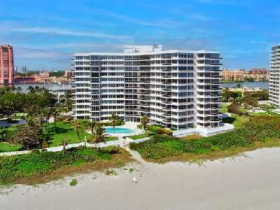 Sabal Point Sabal Point