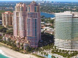 The Palms The Palms
