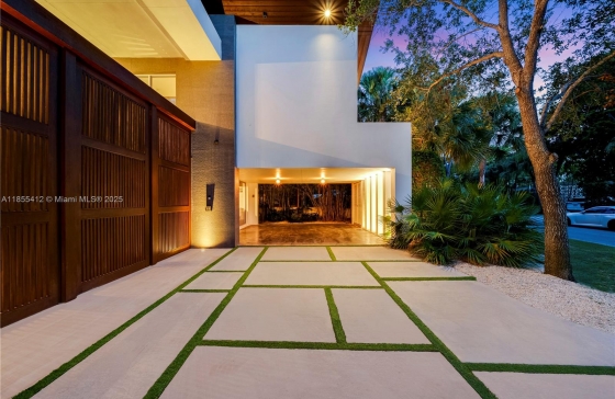 545  Sabal Palm #