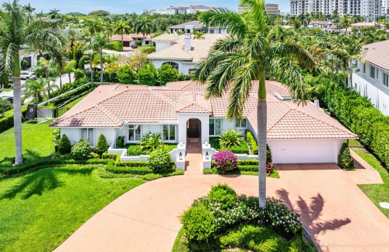 1251  Thatch Palm #