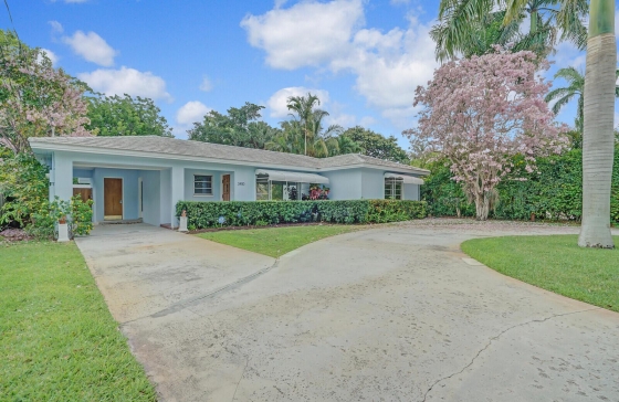 3410  Poinsettia #