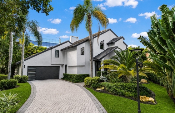 501  Sandpiper #