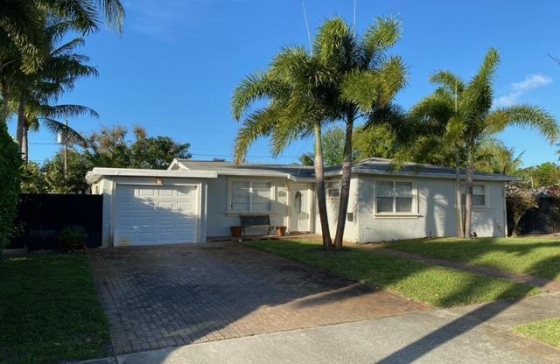 2545  Palm #