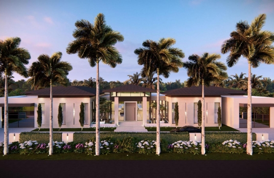 458  Areca Palm #
