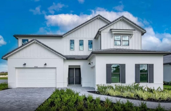 4968  Caladium #Livingston 4