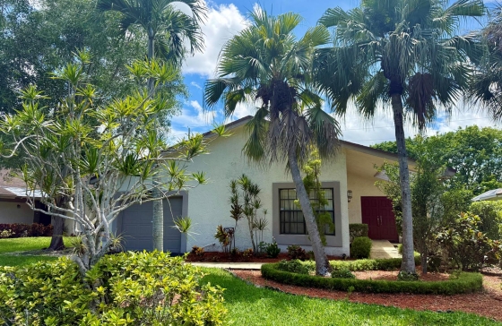 8963  Old Pine #21