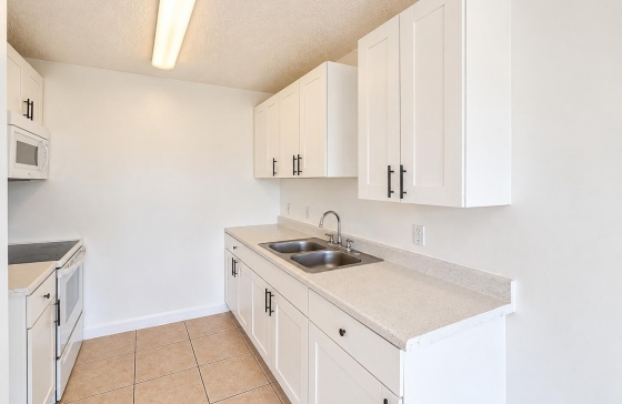 1353  Kirk #