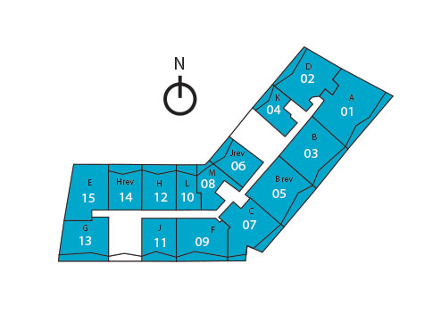 Sitemap Building
